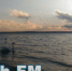 Керчане кормят лебедей на пляже - Kerch.Fm
