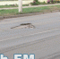 Керчанин влетел в огромную яму на Вокзальном шоссе и помял диск - Kerch.Fm