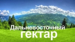 Стань участником программы «Дальневосточный гектар» - Kerch.Biz