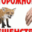 ПАМЯТКА о мерах профилактики бешенства - Керченская больница №1