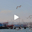Обычный зимний день в Керчи (видео) - Kerch.Com.Ru