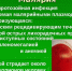 Нажмите для предварительного просмотра изображения - Городская больница №3
