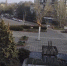 Возле ДК "Корабел" в Керчи дерево упало на фонтан - Kerch.Com.Ru