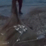 В поселке Маяк поймали браконьера (видео) - Kerch.Com.Ru