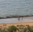 Непогода спутала планы парапланеристов (фото) - Kerch.Com.Ru