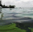 У берегов Керчи выявили загрязнение морских вод - Kerch.Com.Ru