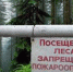 Запрет на посещение лесов Крыма продлен - Kerch.Com.Ru