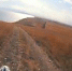 Молодожены из Ижевска доехали до Керчи на мотоцикле "ИЖ" (видео) - Kerch.Com.Ru