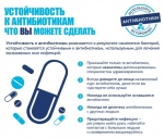 antibio1515