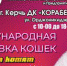 В Керчи состоится выставка кошек - Kerch.Com.Ru