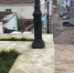 На Митридатских лестницах зарождается жизнь (фото) - Kerch.Com.Ru