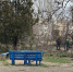 В Портовом переулке и по улице Кирова упали деревья - Kerch.Com.Ru