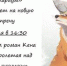 Молодежь приглашают в клуб "Читариум" - Kerch.Com.Ru