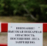 Крымчанам ограничили пребывание в лесах - Kerch.Com.Ru