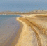 На берегу Азовского моря организуют скаутскую экспедицию - Kerch.Com.Ru