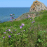 Мыс Зюк (фото) - Kerch.Com.Ru