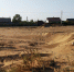 На Аршинцевской косе уничтожили деревья ради стройки (фото) - Kerch.Com.Ru
