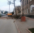 На улице Советской кронируют деревья (фото) - Kerch.Com.Ru