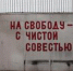 Приняты законы, освобождающие от уголовной ответственности при заключении контракта с ВС РФ - Kerch.Com.Ru