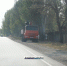 По улице Войкова валят тополя (фото) - Kerch.Com.Ru