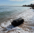 В Героевке по пляжу разбросало бочки - Kerch.Com.Ru