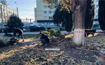 Ремонт своими силами: керчане перекладывают плитку у администрации (фото)