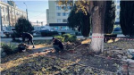 Ремонт своими силами: керчане перекладывают плитку у администрации (фото)