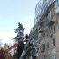 Тополь упал на жилое здание 2/5 по бульвару Пионеров (фото, видео) - Kerch.Com.Ru
