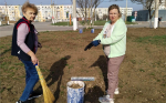 Сотрудники "Крымтроллейбуса" потрудились на субботнике (фото)