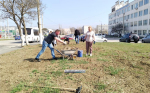 Сотрудники "Крымтроллейбуса" потрудились на субботнике (фото)