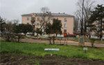 На улице Кирова избавляются от старых тополей (фото)