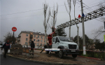 На улице Кирова избавляются от старых тополей (фото)