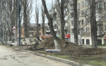 В Аршинцево асфальтируют внутриквартальные проезды (фото)