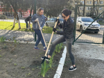 Всероссийская неделя субботника «Мы за чистоту»