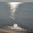 Утро на Аршинцевской косе (фото) - Kerch.Com.Ru