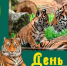 Игровая программа «Тигриной тропой» - Керченская ЦБС