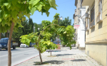 На улице Советской (фото)