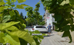 На улице Советской (фото)