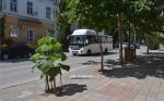 На улице Советской (фото)