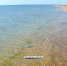 На Аршинцевской косе (фото) - Kerch.Com.Ru