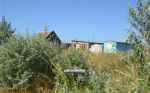 На Аршинцевской косе (фото)
