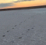 Керчане бежали ночью по слоеному озеру и смотрели на затмение Луны (фото) - Kerch.Com.Ru