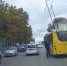 Улетевшие свадебные шарики остановили троллейбусное движение (фото) - Kerch.Com.Ru