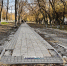 В Приморском парке строят мангальные зоны (фото) - Kerch.Com.Ru