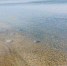 В Юркино - лето, а в море - медузы (фото) - Kerch.Com.Ru