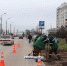 Администрация Керчи препятствует парковке на зеленых зонах (фото) - Kerch.Com.Ru
