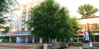 МЕЖДУНАРОДНЫЙ КОНКУРС НАУЧНЫХ РАБОТ  «ЭКОНОМИКА И УПРАВЛЕНИЕ: ВЗГЛЯД В БУДУЩЕЕ» - КГМТУ