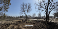 В Приморский парк продолжают прихорашивать (фото) - Kerch.Com.Ru