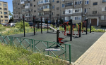 Керчане озеленяют отремонтированный двор (фото)