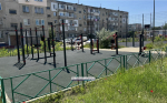 Керчане озеленяют отремонтированный двор (фото)